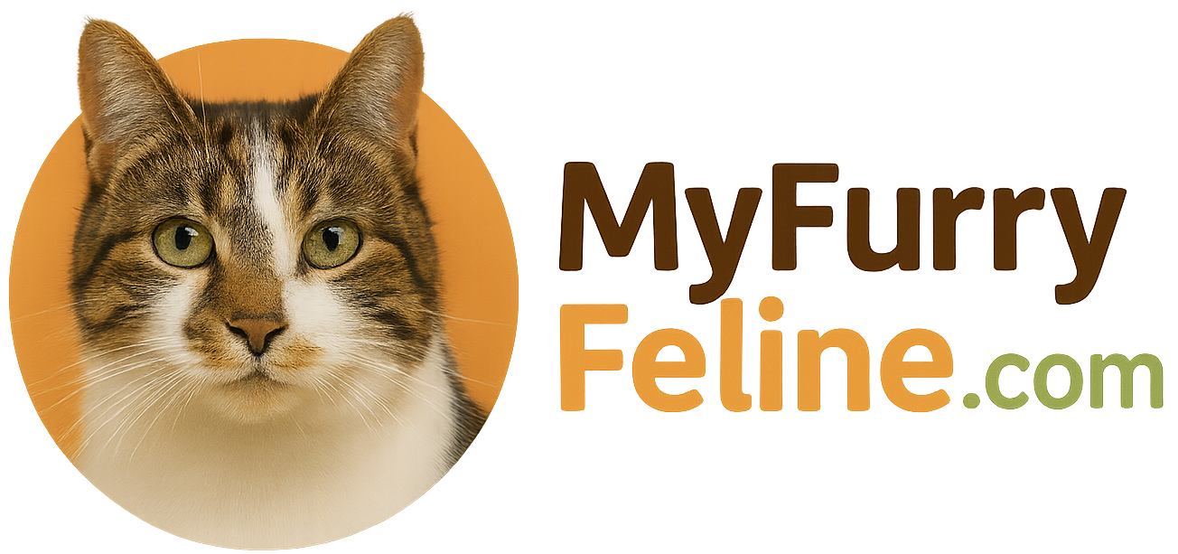 My Furry Feline